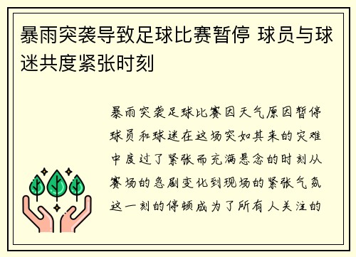 暴雨突袭导致足球比赛暂停 球员与球迷共度紧张时刻