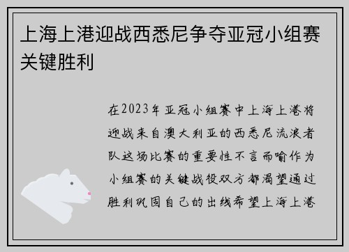 上海上港迎战西悉尼争夺亚冠小组赛关键胜利