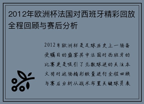 2012年欧洲杯法国对西班牙精彩回放全程回顾与赛后分析